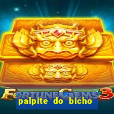 palpite do bicho deu no poste